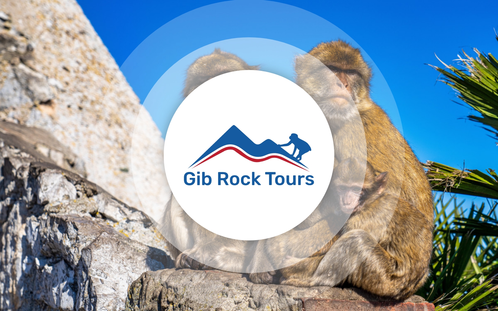 Gib Tours Image